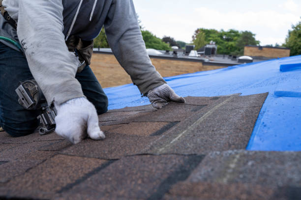 Best Roof Maintenance Services  in Pontotoc, MS